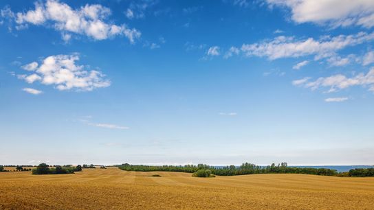 Idaho Specialty Crop Businesses: Important USDA Acreage Reporting Deadline for 2025